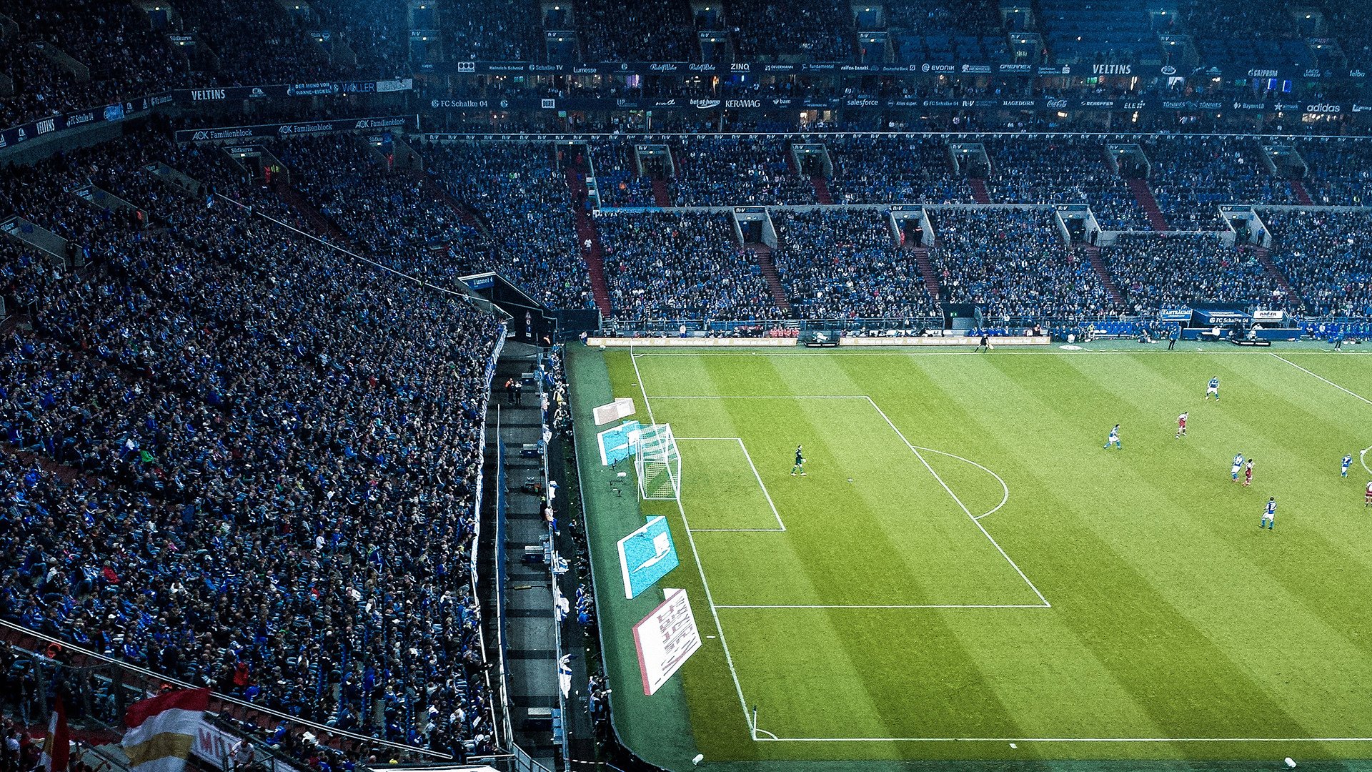 追逐梦想:新星用实力征服赛场!,追逐梦想 追逐厄运